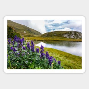 Mountain flowers by a glacial lake Sticker